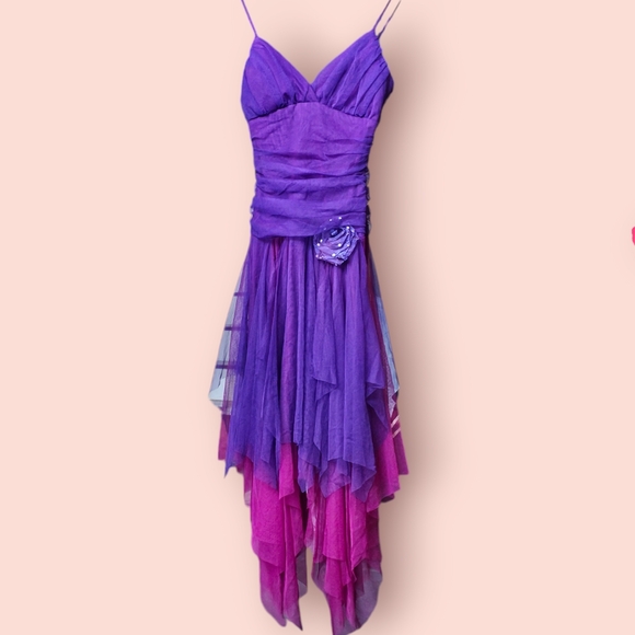 Meet your Posher, Rebecca, Peter, Beau & Duke Golden Retrievers, & Tracey Beagle - Picture 15 of 16